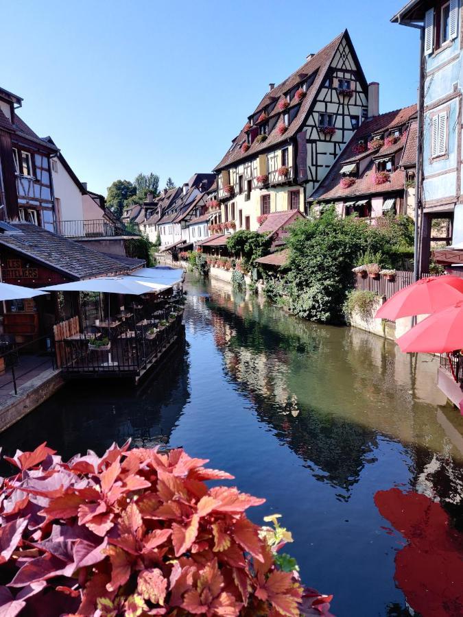 Au Kugelhopf Doré - Centre Historique Colmar Esterno foto