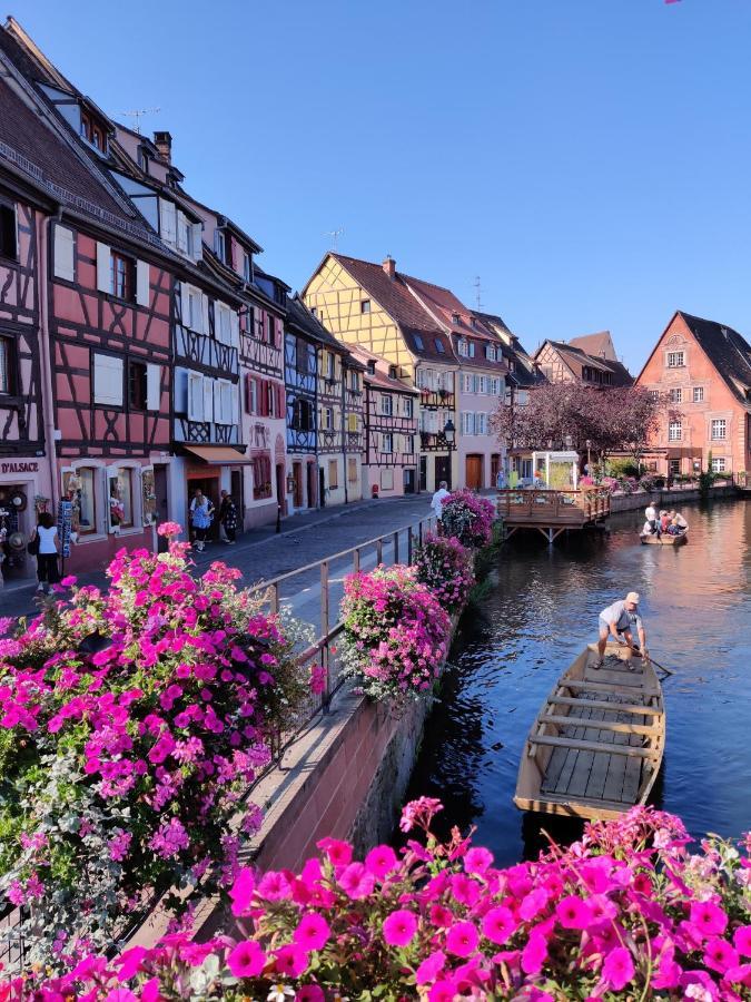 Au Kugelhopf Doré - Centre Historique Colmar Esterno foto