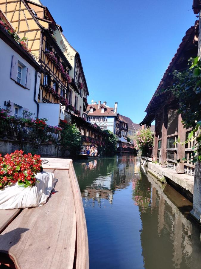 Au Kugelhopf Doré - Centre Historique Colmar Esterno foto